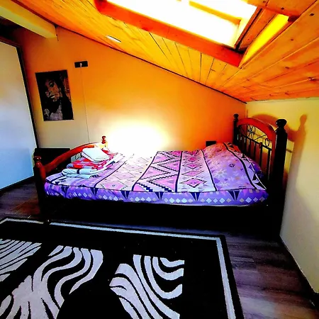 Hostel Varna